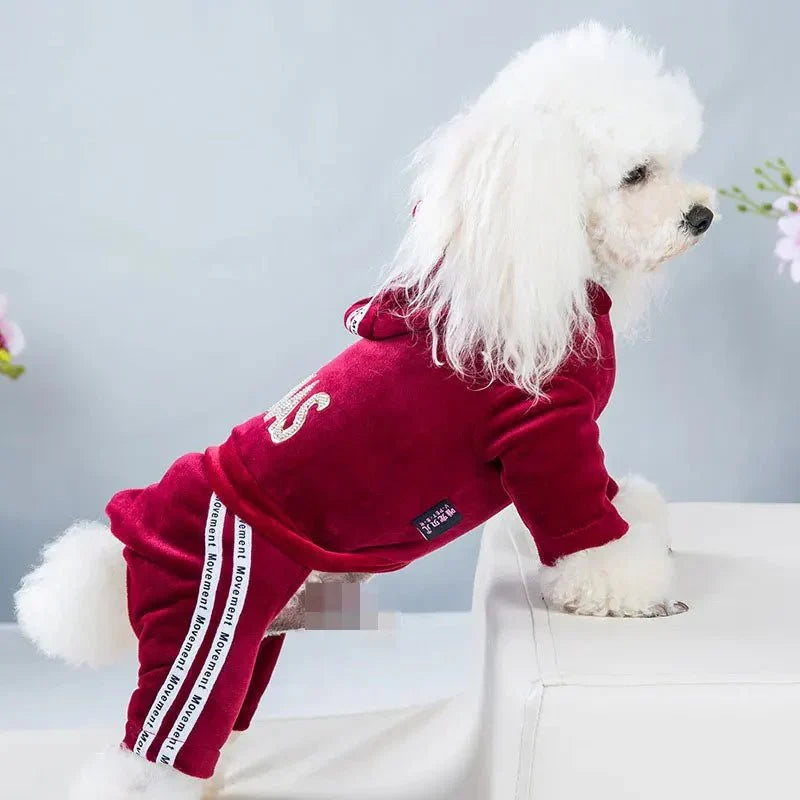 Pyjama Caniche Rouge