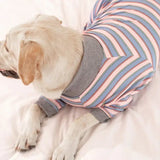 Pyjama Grand Chien