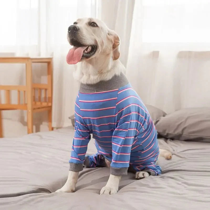 Pyjama Grand Chien