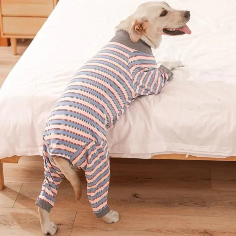 Pyjama Grand Chien