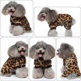 Pyjama Léopard Chien