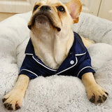 Pyjama Petit Chien