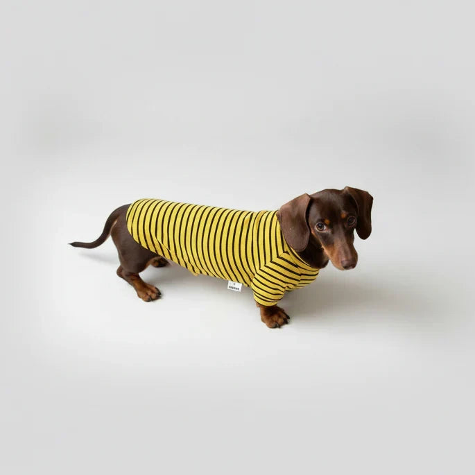 T Shirt Teckel À Rayures Doux Et Confortable - Les Bonnes Affaires