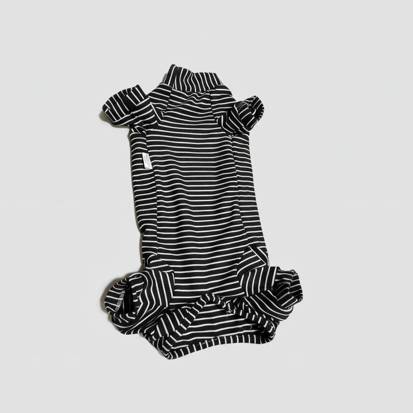 T Shirt Teckel À Rayures Doux Et Confortable - Les Bonnes Affaires