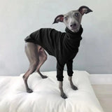Pyjama pour Whippet Noir