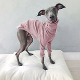 Pyjama pour Whippet Rose