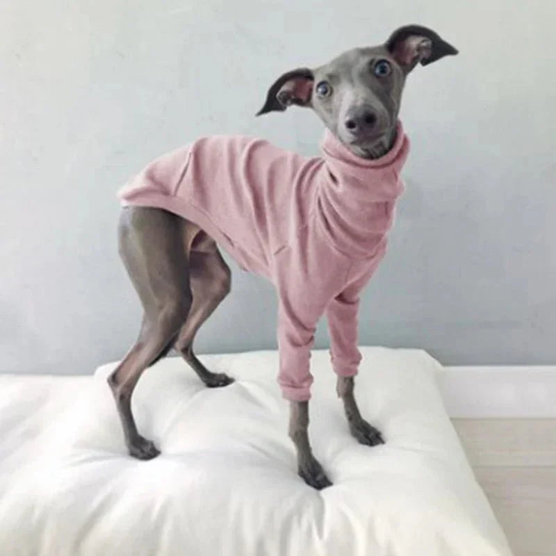 Pyjama pour Whippet Rose