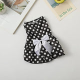 Robe pour Chat noir pois blanc