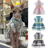 Robe Chat Sphynx