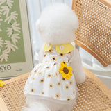 Robe Chien Original Tournesol