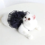 Robe de Mariée Chat