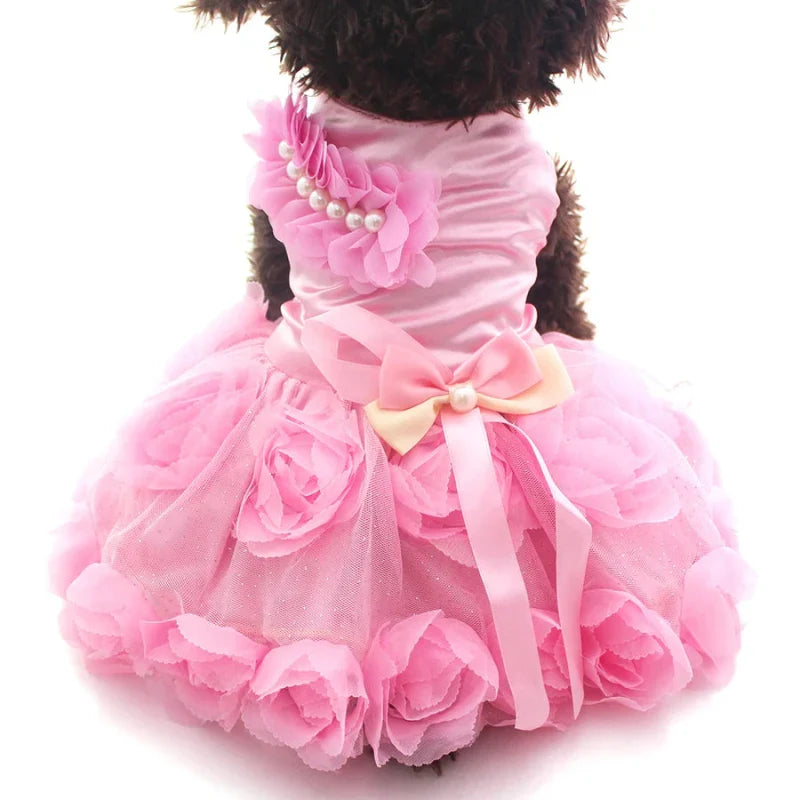Robe de Soirée Chien