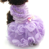 Robe de Soirée Chien