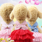 Robe Froufrou pour Chien