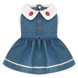 Robe Harnais Chien