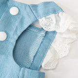 Robe Harnais Chien