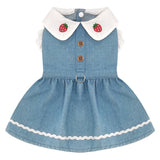 Robe Harnais Chien