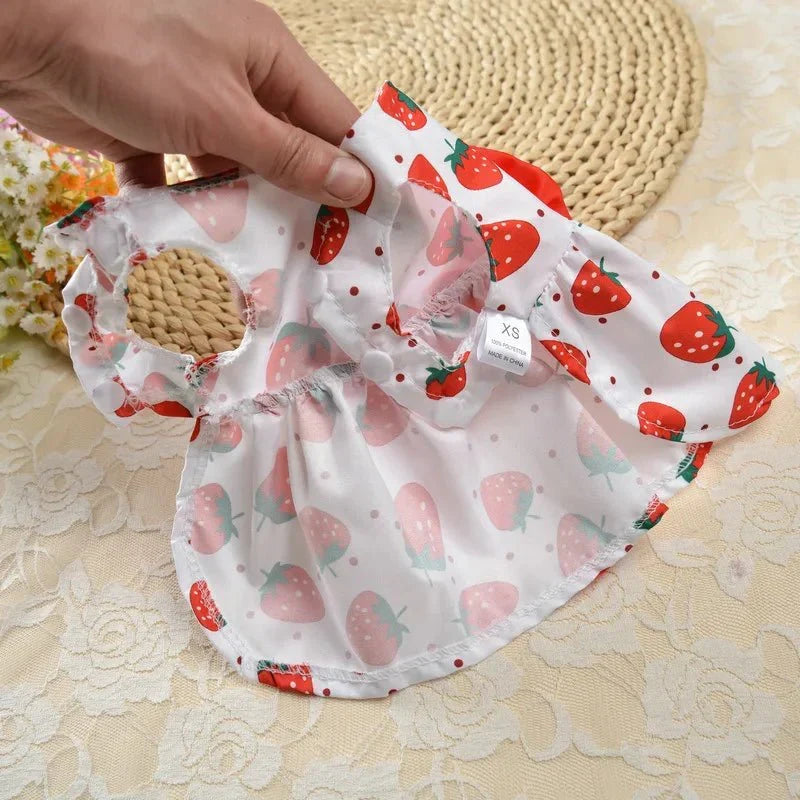 Robe Orange Chat