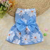 Robe Orange Chat
