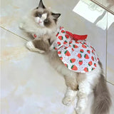 Robe Orange Chat