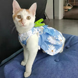 Robe Orange Chat
