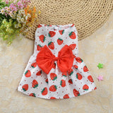 Robe Motifs Fraises pour Chat / Chien