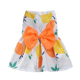 Robe Orange Chat