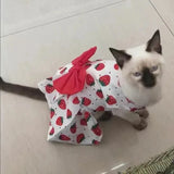 Robe Orange Chat