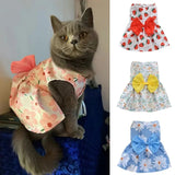 Robe Orange Chat