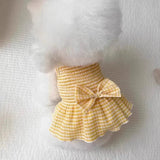 Robe pour Bichon Jaune