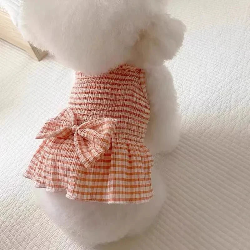 Robe pour Bichon
