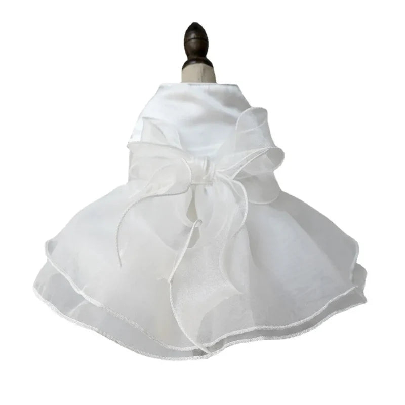 Robe pour Chien Mariage