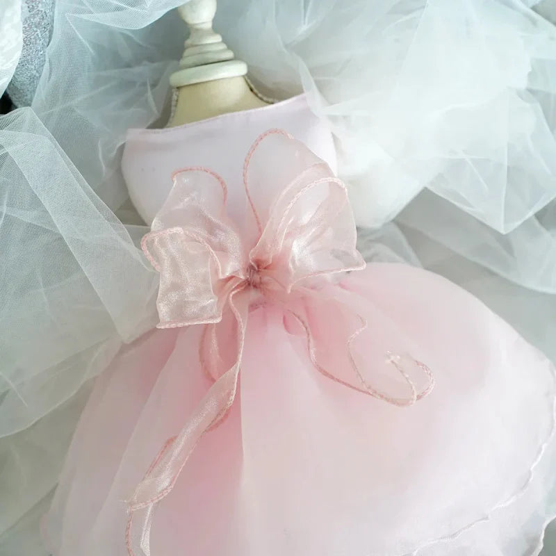 Robe pour Chien Mariage