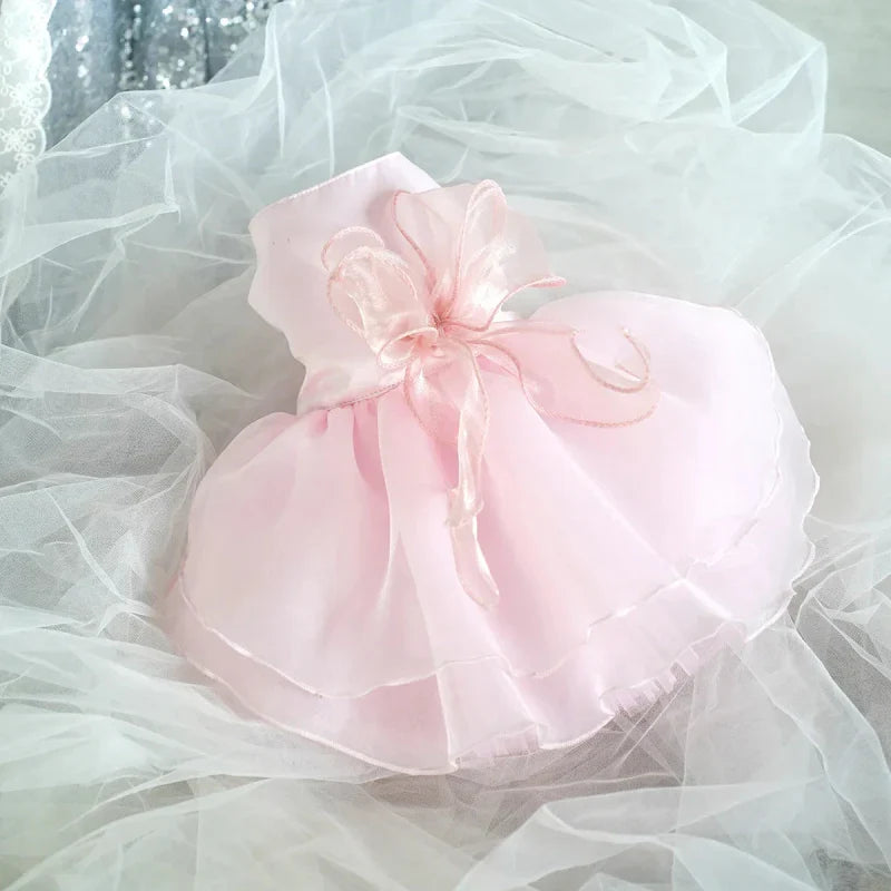 Robe pour Chien Mariage