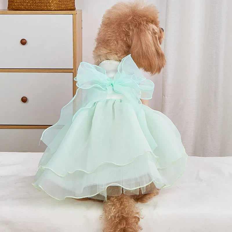 Robe pour Chien Mariage Verte