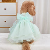 Robe pour Chien Mariage Verte
