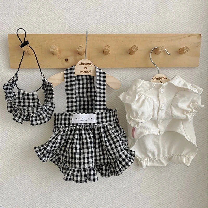 Robe pour Chihuahua