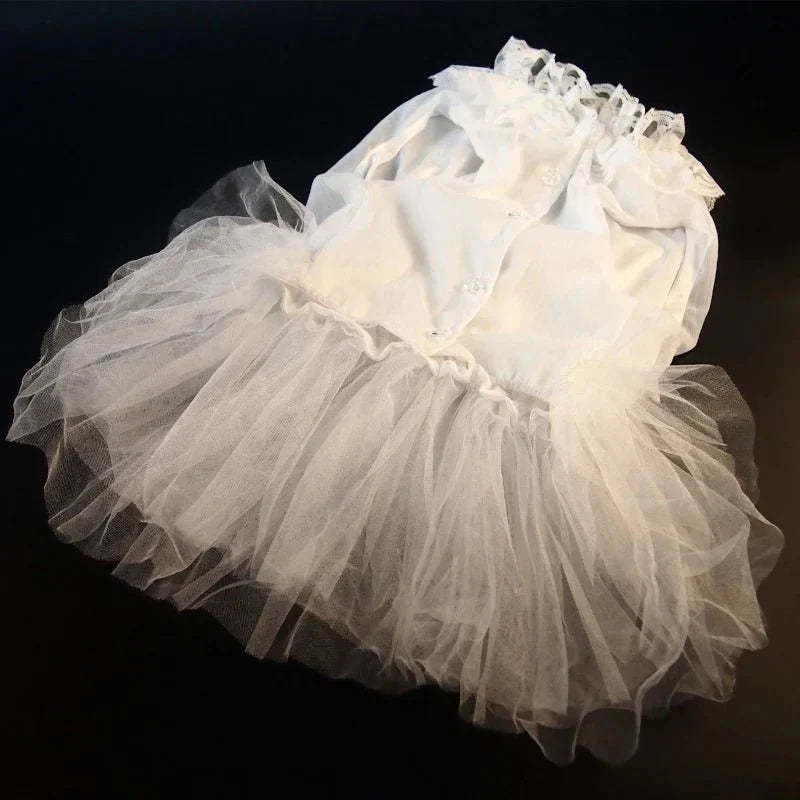 Robe pour Gros Chien