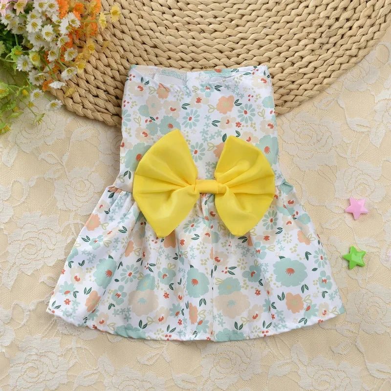 Robe pour Petit Chien