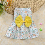 Robe pour Petit Chien