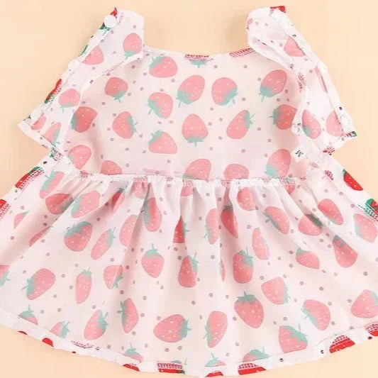 Robe pour Petit Chien