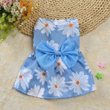Robe pour Petit Chien Bleu Fleurs Blanches