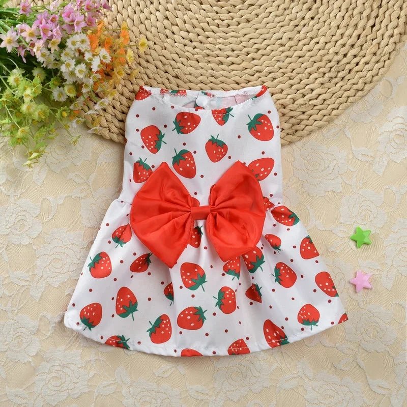 Robe pour Petit Chien