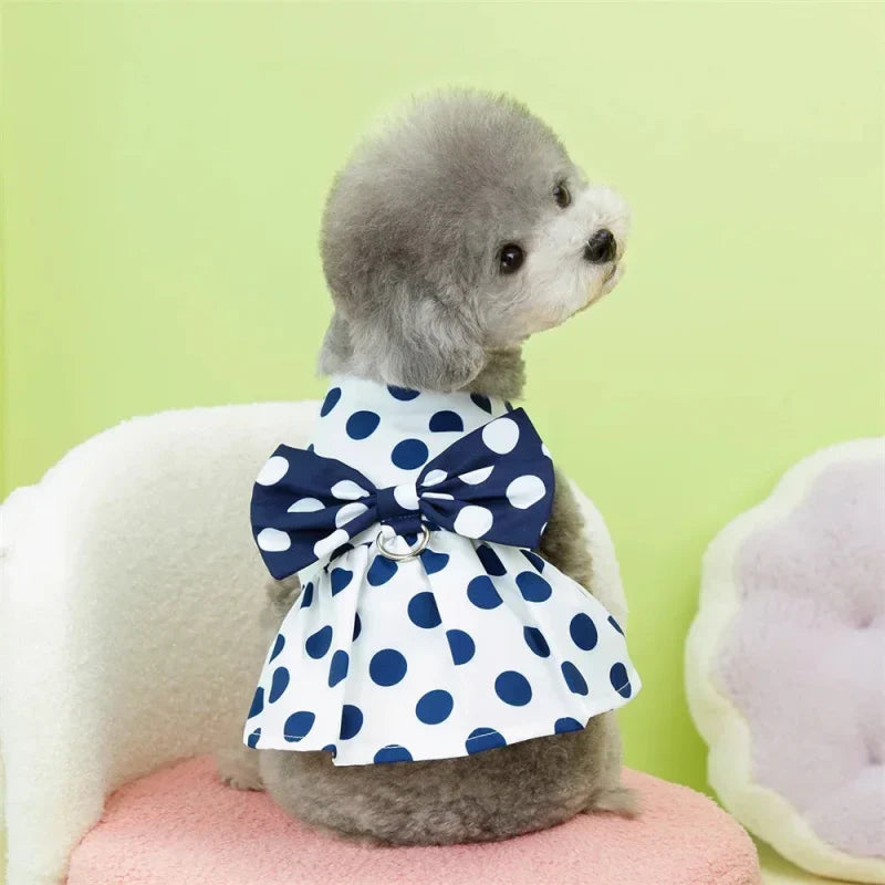 Robe pour Yorkshire & petit chien