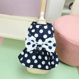 Robe pour Yorkshire & petit chien