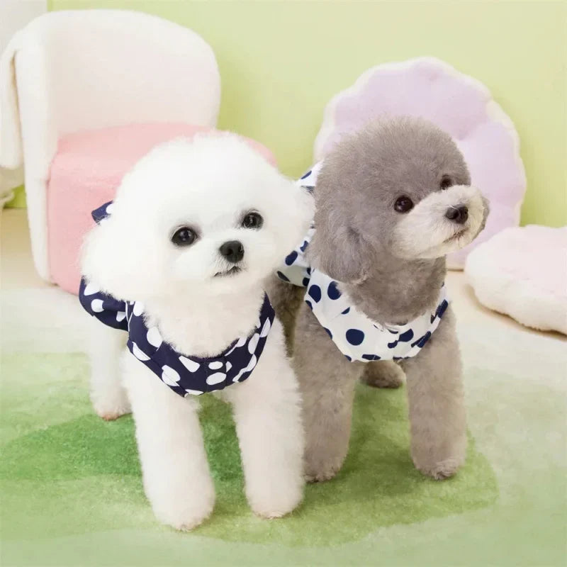 Robe pour Yorkshire & petit chien