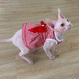 Robe Rouge pour Chat