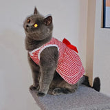 Robe Rouge pour Chat