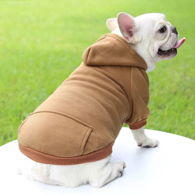 Sweat Kangourou Chien Marron