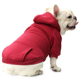 Sweat Capuche Chien